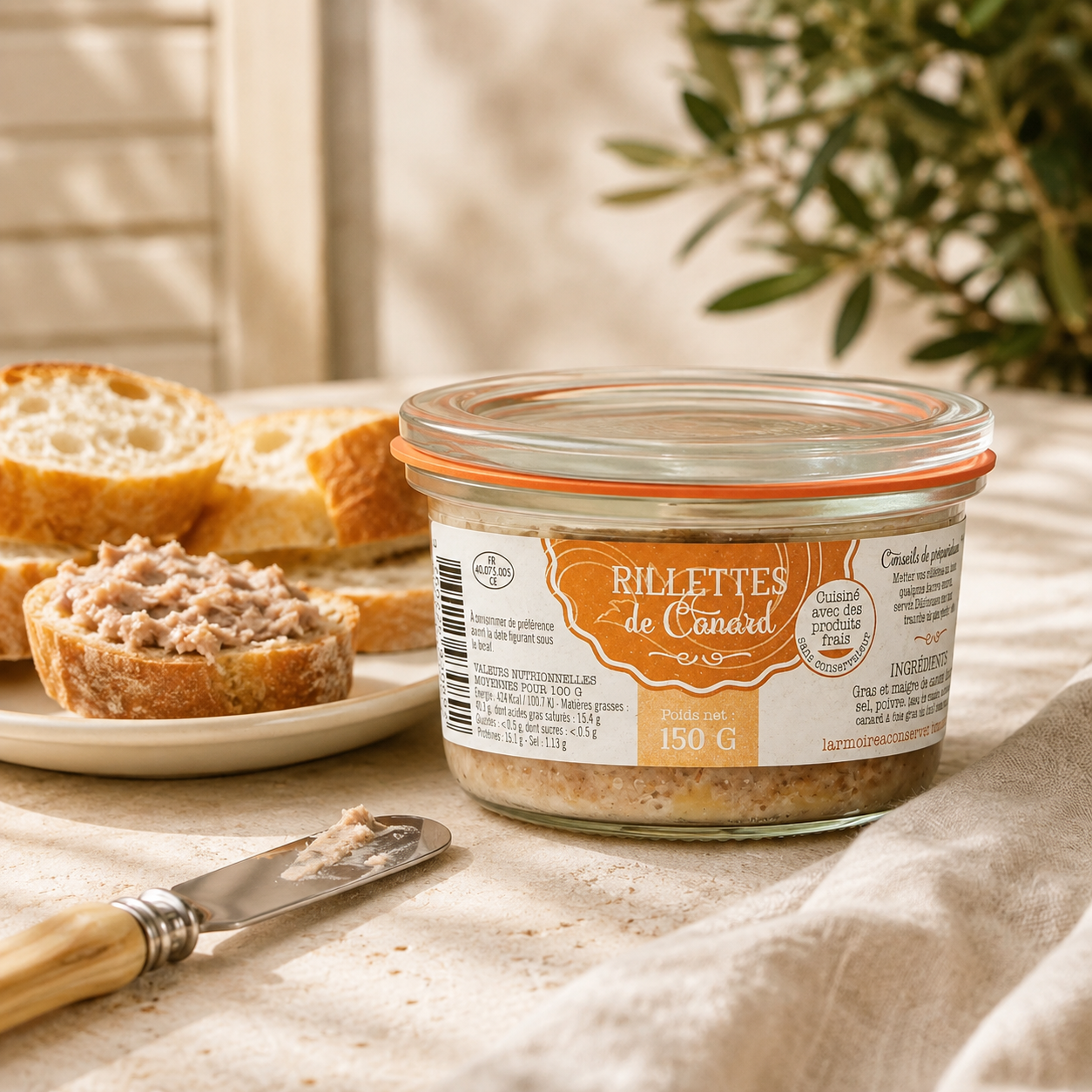 Rillette de Canard från Landes